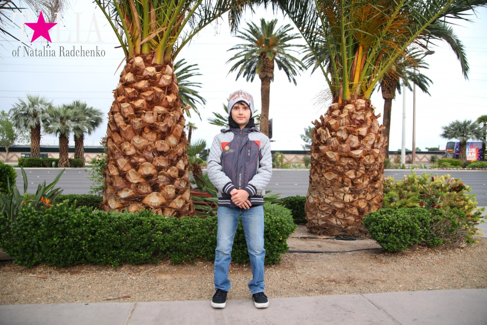 Главная улица Лас Вегаса - Стрип, с самыми дорогимы отелями в мире